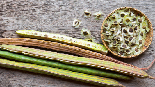 Our super ingredient, moringa, under the microscope