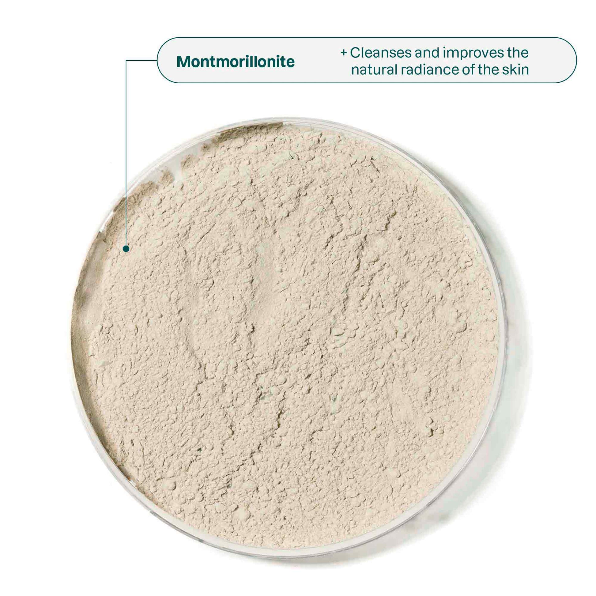 Purifying Solid Mask with Blue Clay : Oceanly - Phyto-Cleanse Ingredient Montmorillonite_en? ALL VARIANTS