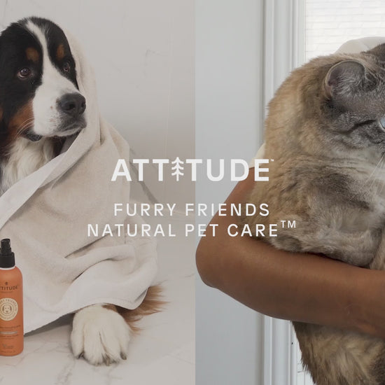 ATTITUDE-shampoo-deodorizing-lavander-81142_en?